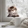 GKA Fenstergucker Fensterbild süße Katze Fenster Aufkleber Produktbild-Vorschau 4