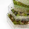 A close-up view of a stacked sprouting system with different stages of sprouts in clear hexagonal containers. Produktbild-Vorschau