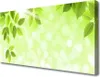 Tulup Leinwand-Bilder 100x50 Wandbild Canvas Kunstdruck Produktbild-Vorschau 1