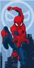 Spiderman Strandhandtuch 70x140 cm – Weiches & langlebiges Produktbild-Vorschau 1