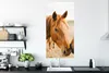 MuchoWow® Poster Pferd - Strand - Tiere 60x120 cm - Produktbild-Vorschau 3