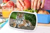 KitchenYeah® Lunchbox Box na svačinu 17x11 cm Tygr - Náhled obrázku produktu 3