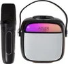 Głośnik do karaoke z mikrofonem - SD/USB/AUX/Bluetooth Podgląd zdjęcia produktu 11