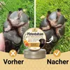 Canifee Pfotenbalsam für Hunde mit Manukahonig in der 100ml Produktbild-Vorschau 6