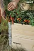 Hands tending to chili plants in a wooden raised garden bed. Produktbild-Vorschau