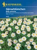 [STREICHUNG 2024] Gänseblümchen | Gänseblümchensamen von Produktbild-Vorschau 1