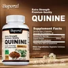 Quinine 500 mg (120 Kapseln) Nahrungsergänzungsmittel, Produktbild-Vorschau 11