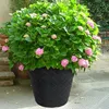 Vaso da fiori Prosperplast "Matuba", aspetto fibra di Anteprima dell’immagine prodotto 6
