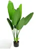 DIXIE STORE Strelitzia - Plante artificielle, fleurs Voir les images du produit 1
