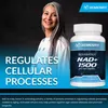 Resveratrol NAD+ 1500mg (120 Kapseln) Produktbild-Vorschau 4