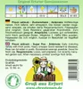 Zuckererbse Ambrosia | Zuckererbsensamen von N.L. Produktbild-Vorschau 2