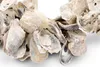 Muschelkranz Talaba Auster Ø 39cm | Kranz aus Deko Muscheln Produktbild-Vorschau 3