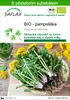 SAFLAX - BIO - pampeliška - Taraxacum officinale - 400 Náhled obrázku produktu 1