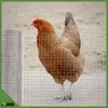 Volierendraht - 13x13x0,8mm - 25m - Leicht - Produktbild-Vorschau 6