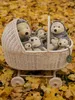 A wicker baby carriage filled with stuffed hedgehogs sits on a bed of fallen autumn leaves. Anteprima dell’immagine prodotto