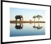 MuchoWow® MuchoWow® Gerahmtes Poster Elefant - Wasser - Produktbild-Vorschau 7