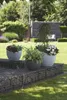 Scheurich Obal 250 Stony Grey 60 cm, světle šedá Náhled obrázku produktu 4