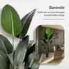 IvoQ Strelitzia pianta artificiale 210 cm - Grande pianta Anteprima dell’immagine prodotto 6