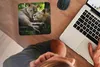 MuchoWow® Mauspad Mousepad Löwen - Baum - Gras 20x20 cm - Produktbild-Vorschau 3
