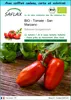 SAFLAX Ensemble-cadeau -- Tomate - San Marzano - 15 graines Voir les images du produit 1