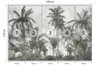 Muralo Vlies Fototapete tropische PFLANZEN Palmen Blätter Produktbild-Vorschau 3