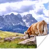 MuchoWow® Poster Alpen - Kuh - Berg 50x50 cm - Produktbild-Vorschau 1