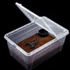 Terrario Terrarium Faunarium 33x22x15cm Terrario Podgląd zdjęcia produktu 8