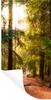 MuchoWow® Wandtattoo Wandsticker Wandaufkleber Wald - Weg - Produktbild-Vorschau 1