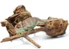 BioRain Roots Tropische Treibholzwurzel S 12-20cm Produktbild-Vorschau 2