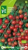 Sweetbabysemínka rajčat - cca 0,2 gr | VT_219 Náhled obrázku produktu 1