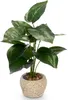 Umělá rostlina PHILODENDRON, 40 cm Náhled obrázku produktu 1