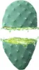 24h Hydrating Face Lotion Opuntia (Lozione idratante per il Anteprima dell’immagine prodotto 6