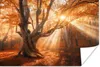 MuchoWow® Poster Baum - Natur - Herbst 120x80 cm - Bilder Produktbild-Vorschau 1
