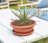 Artevasi Blumentopfuntersetzer Redondo Kunststoff rund Produktbild-Vorschau 4