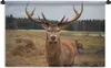 MuchoWow® Wandteppich Wandbehang Rotwild - Natur - Wiese Produktbild-Vorschau 1