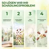 Fenster Brotkäferfalle mit Spezial-Lockstoff – 27x Fallen – Produktbild-Vorschau 7