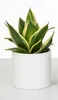 Scheurich Blumentopf aus Keramik,  Farbe: Panna, 28 cm Produktbild-Vorschau 4