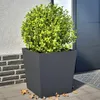 vidaXL Bac à plantes 2 pcs. Anthracite 50x50x50 Acier Voir les images du produit 2