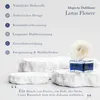 CLENTAIRE Lotus Flower 15 x 75ml Raumduft Duftblumen Produktbild-Vorschau 4