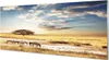 Glasbilder 125x50 Wandkunst Zebra Wolken Baum Produktbild-Vorschau 1