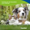 Canina Pharma Seealgenmehl - 750 g Produktbild-Vorschau 6