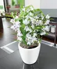 LECHUZA-Vase à plantes CLASSICO Premium LS 21 Anthracite Voir les images du produit 9