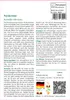 SAFLAX - Parakresse - Acmella oleracea - 500 Samen - Mit Produktbild-Vorschau 3