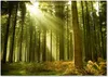 Tulup® Leinwandbild - 100x70 cm - Wandkunst - Drucke auf Produktbild-Vorschau 1