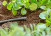 Gardena 13215-20 pièce/accessoire pour système d'irrigation Voir les images du produit 5