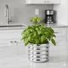 A silver pot with basil plants on a kitchen counter. Produktbild-Vorschau