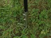 DELPHIN TRIB, roestvrijstalen paraplu-houder, 37 cm, Productafbeelding-voorbeeld 6