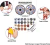 Irisdiagnose Mini-Poster Anatomie 34x24 cm medizinische Produktbild-Vorschau 2