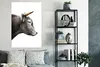 MuchoWow® Poster Schottisches Hochlandrind - Tiere - Kuh Produktbild-Vorschau 4
