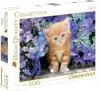 Puzzle 500 elementów High Quality Collection Rudy kotek Anteprima dell’immagine prodotto 1